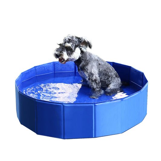 Durable PVC Pet Swimming Pool